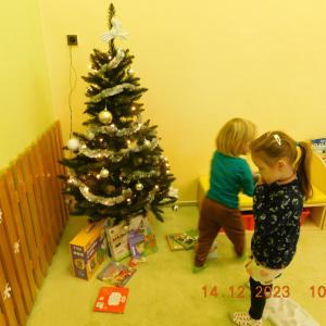 dscn1113.jpg