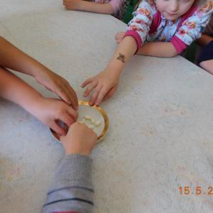 dscn1632.jpg