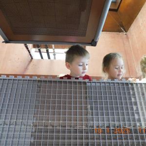 dscn3064.jpg