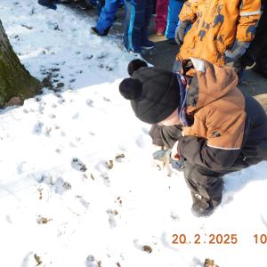 dscn3272.jpg