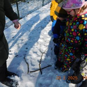 dscn3285.jpg