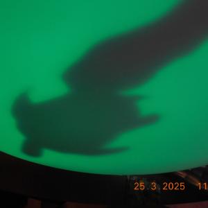 dscn3641.jpg