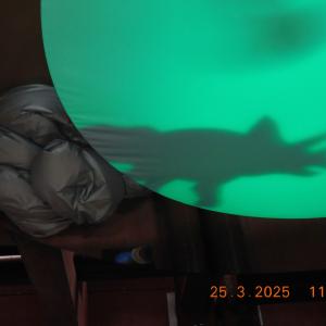 dscn3642.jpg
