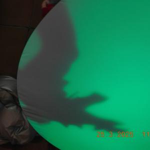 dscn3643.jpg