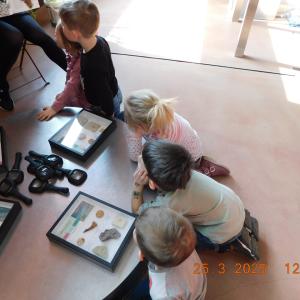 dscn3715.jpg