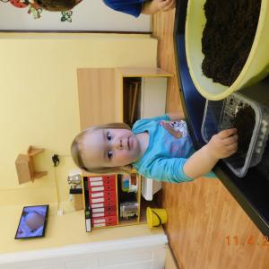 dscn4219.jpg