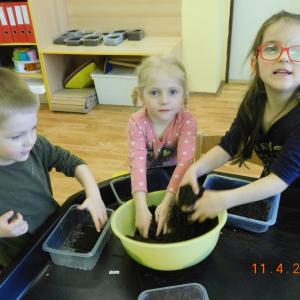 dscn4236.jpg