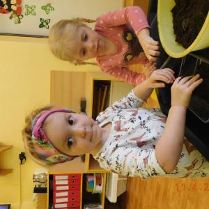 dscn4238.jpg