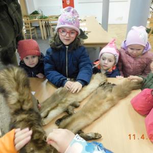 dscn4266.jpg