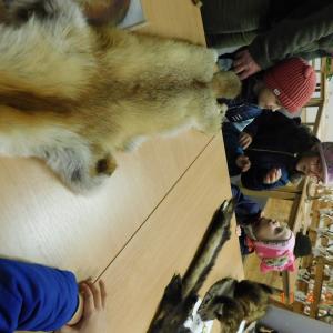 dscn4270.jpg