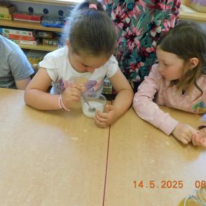 dscn3980.jpg