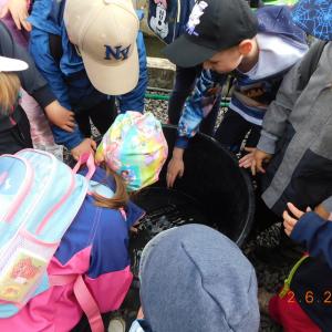 dscn4624.jpg