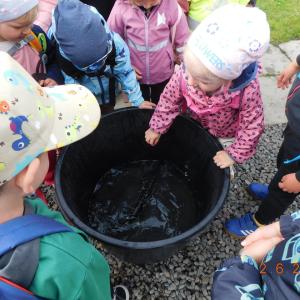 dscn4631.jpg
