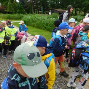 dscn4658.jpg