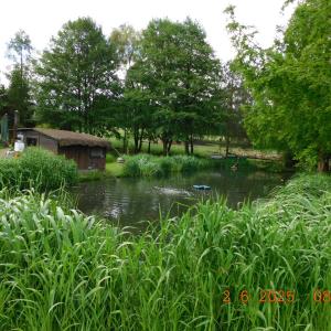 dscn4159.jpg