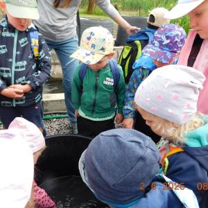 dscn4163.jpg
