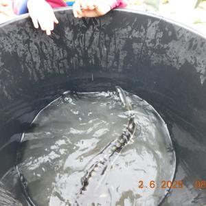 dscn4170.jpg