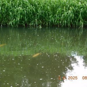 dscn4171.jpg
