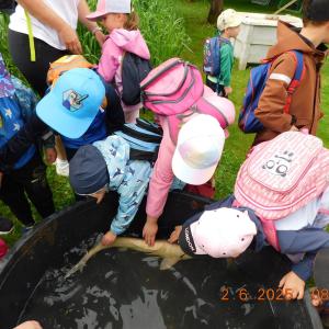 dscn4179.jpg