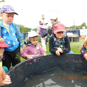 dscn4181.jpg