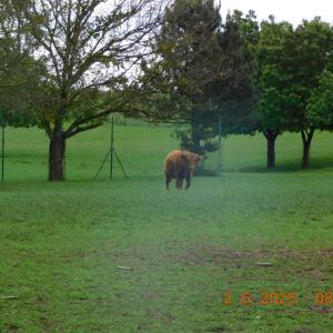dscn4191.jpg