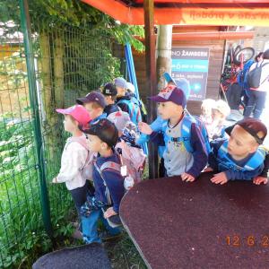 dscn4838.jpg