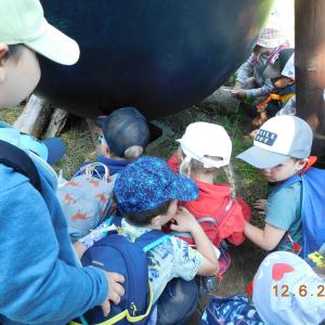 dscn4877.jpg
