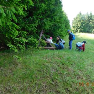 dscn4966.jpg