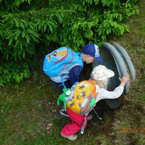dscn4967.jpg