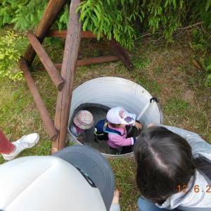 dscn4980.jpg