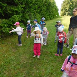 dscn4988.jpg