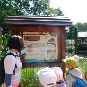 dscn4253.jpg