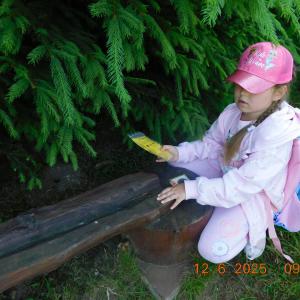 dscn4275.jpg