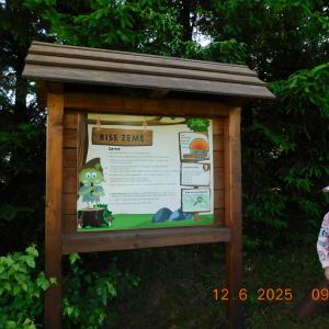 dscn4279.jpg