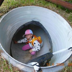 dscn4285.jpg