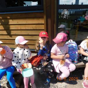dscn4310.jpg