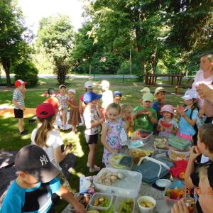 dscn5195.jpg