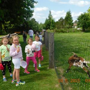 dscn4630.jpg