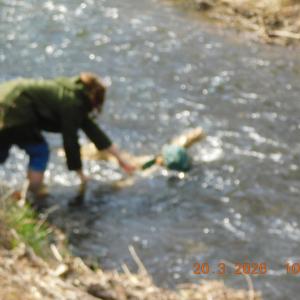 dscn6415.jpg