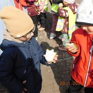 dscn6424.jpg