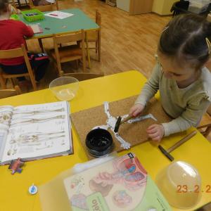dscn6810.jpg