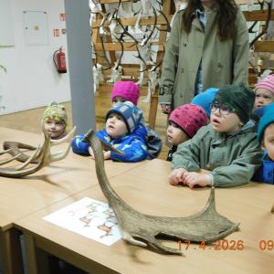 dscn6701.jpg