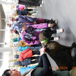dscn6762.jpg