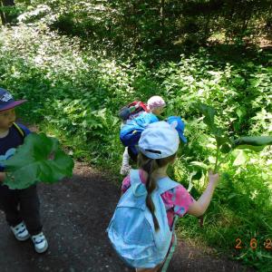 dscn7597.jpg