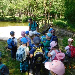dscn7619.jpg