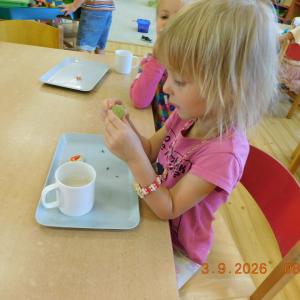 dscn7049.jpg