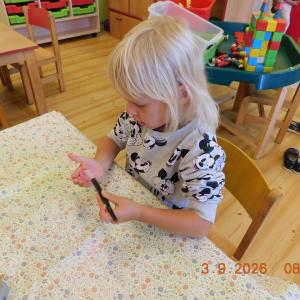dscn7067.jpg