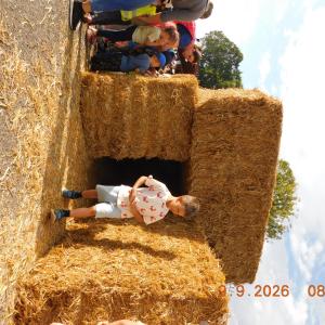 dscn7178.jpg