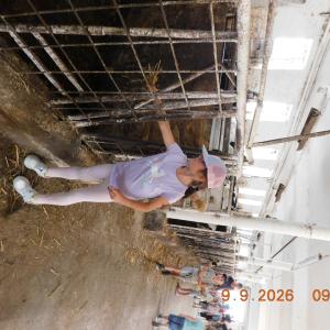 dscn7255.jpg