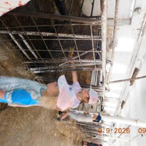dscn7256.jpg